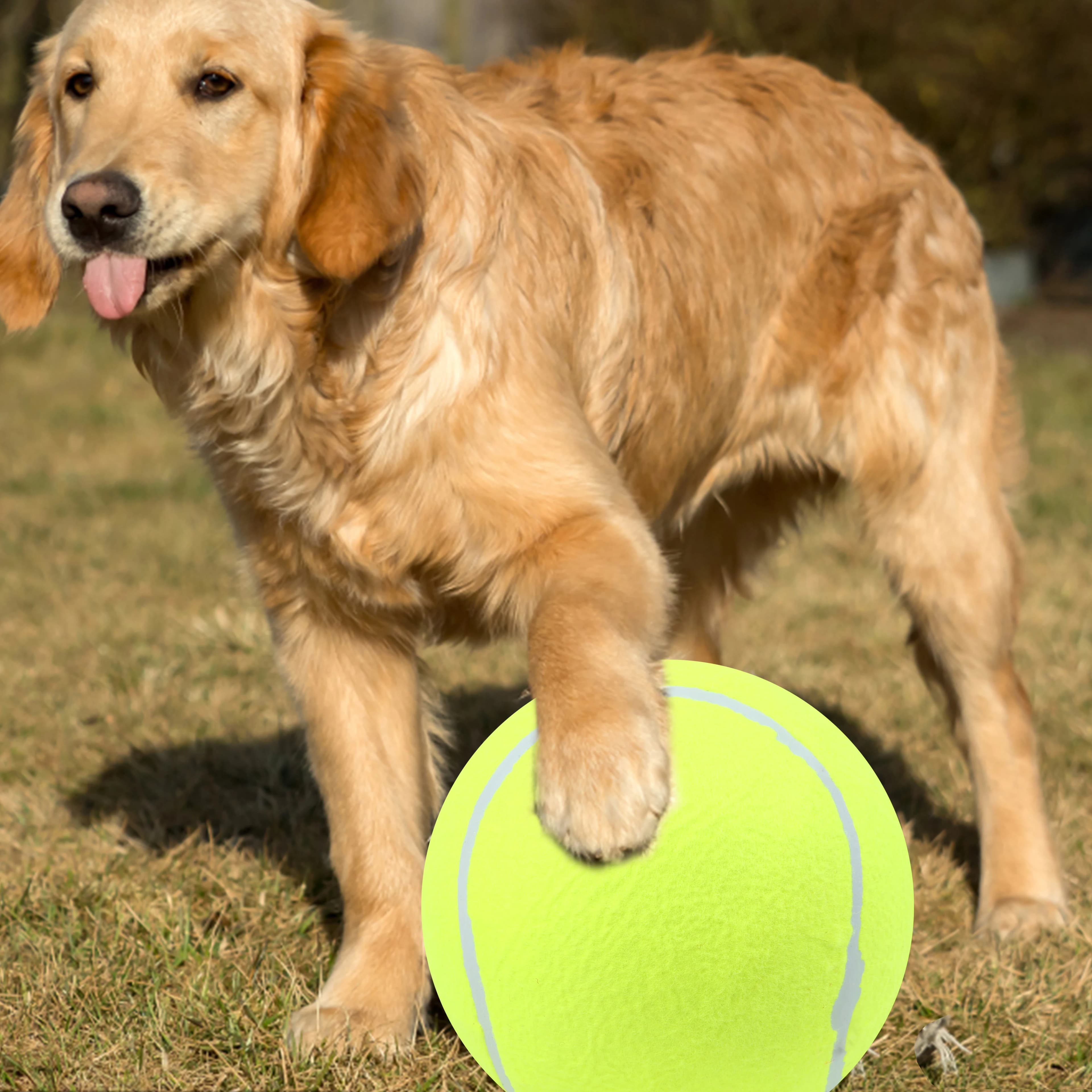 Set di 3 Palline da Tennis Giganti Gonfiabili da 9,5 Pollici per Cani
