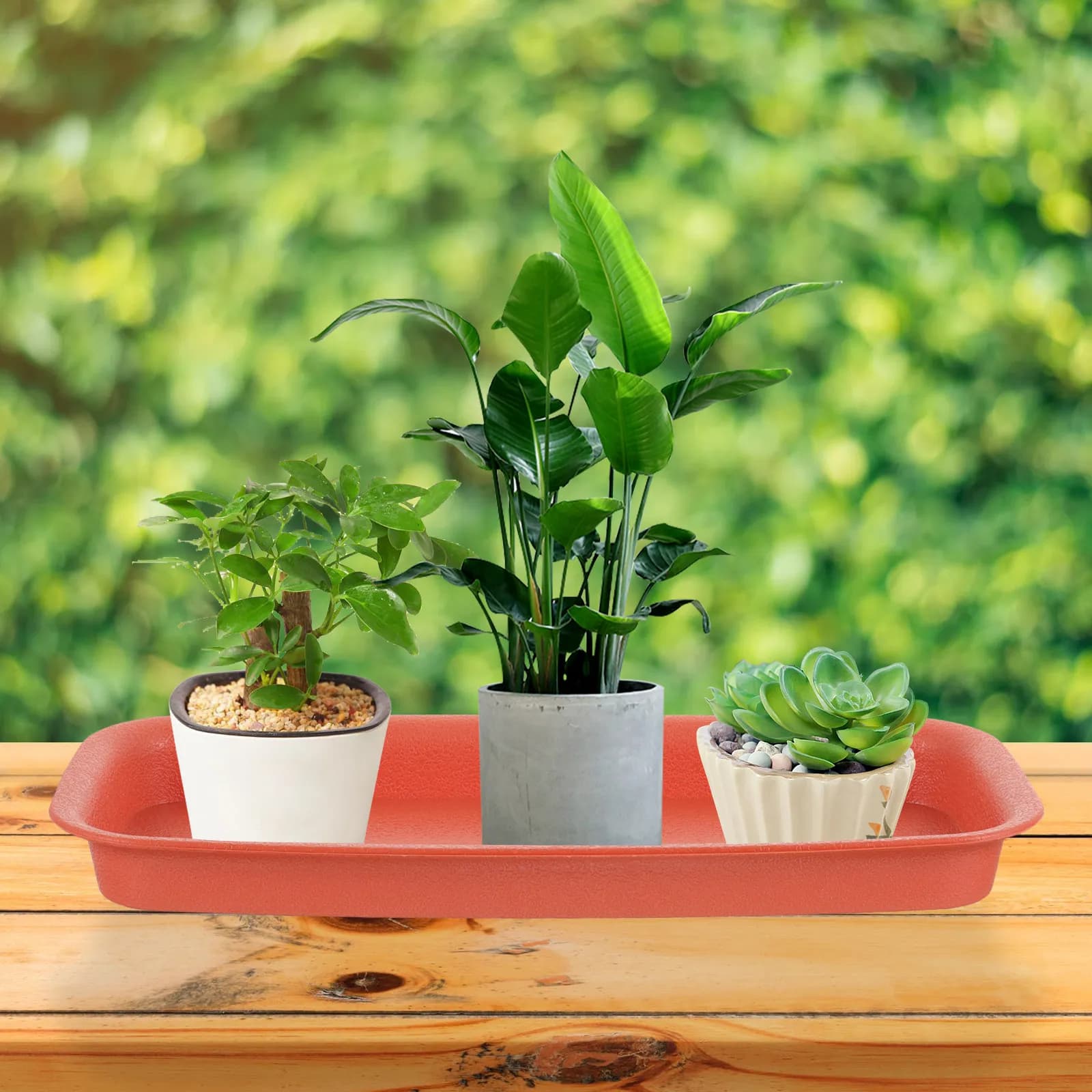 6Pcs Plastic Rectangular Plant Tray Planter Saucers for Indoor Plants Flower Pots Windowsill Seed Starting Growing 24x11x2cm