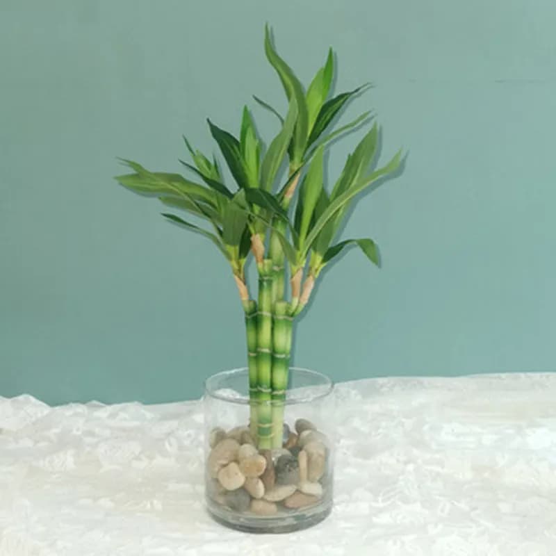 New 40 cm rFtificial Lucky Bambooo Succulent Faux Plant Green Pot Flower Garden Outdoor Dining Table Aquarium House Decoration