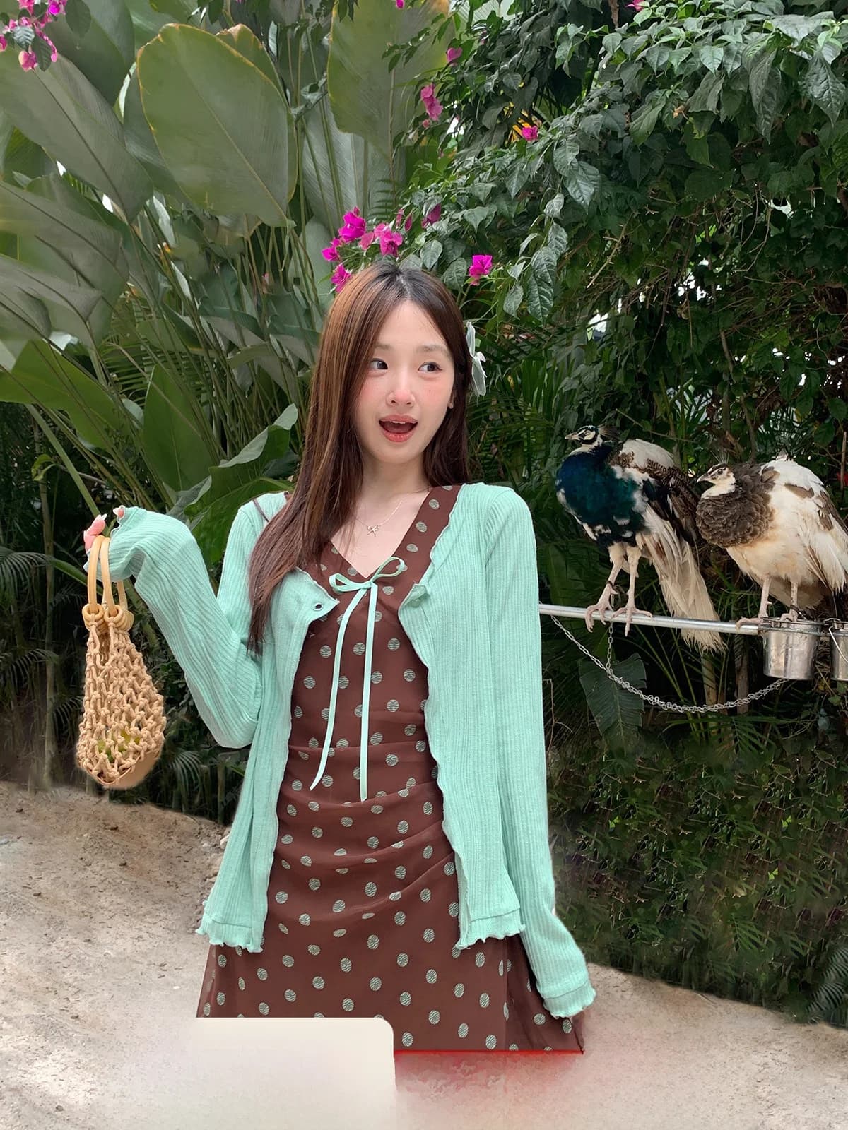 Cheese Day Retro Vacation Pleated Slimming Short Skirt Spring Open Cardigan V-Neck Dress Set A-Line Silhouette Long Sleeve