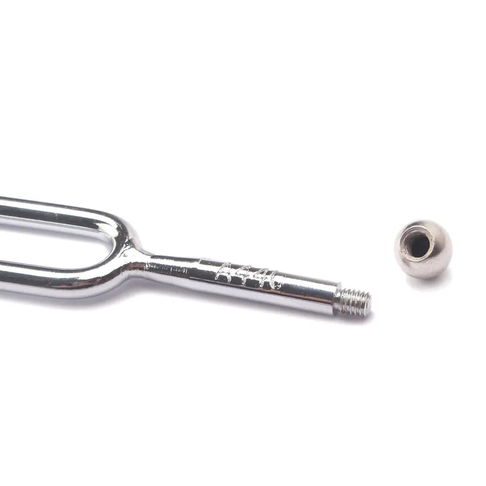 Diapason A440 440Hz Professionale in Alluminio per Chitarra, Violino, Violoncello, Ukulele, Educazione Musicale, Argento