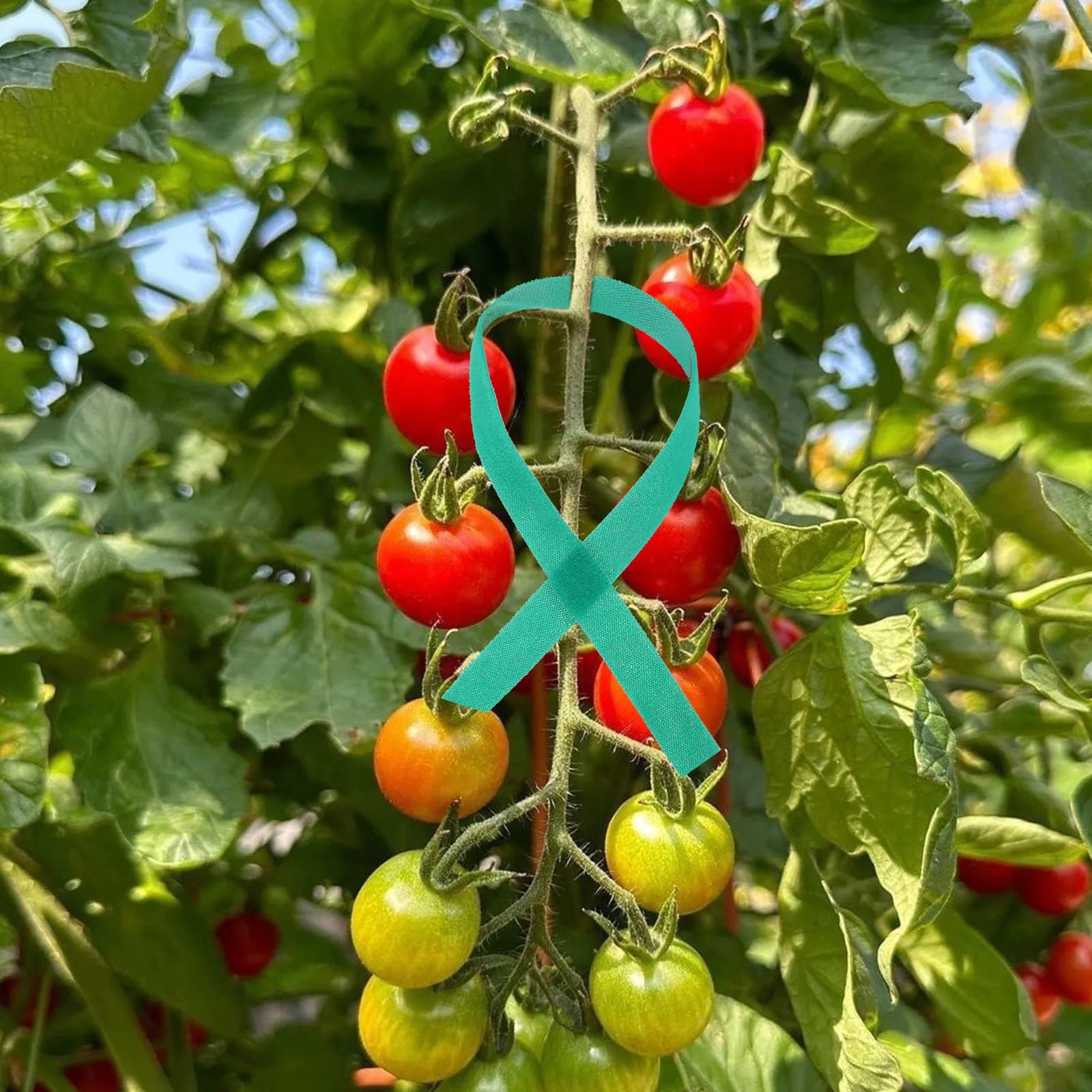 Reusable Green Plant Tie Roll Garden Tape for Plants Securing Shaping Bundling Cables Pipes Tree Support Climbing Plant Ties