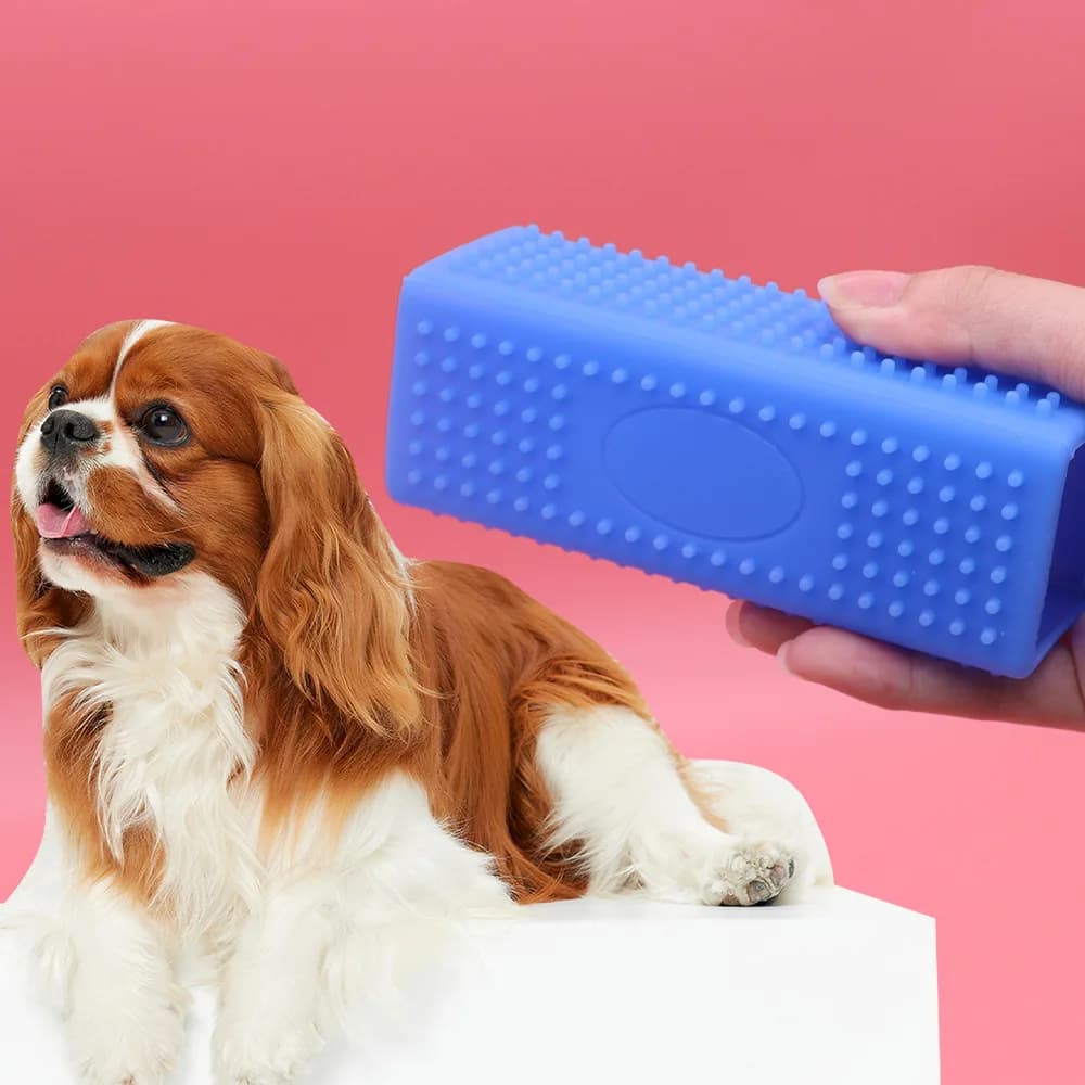 Rullo Rimuovi Peli di Animali Domestici Riutilizzabile, Spazzola Anti-Pelucchi per Mobili, Vestiti, Sedili Auto, Strumento per la Pulizia e la Toelettatura di Cani e Gatti, con Molla