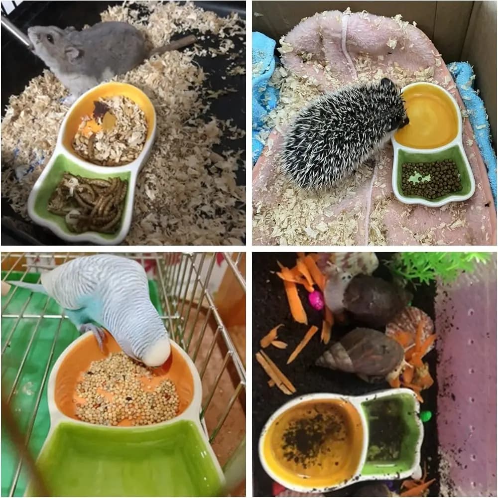 Piccoli piatti per spezie per riccio per animali domestici, multifunzione, in ceramica, da masticare, per bere acqua, piatto per alimenti, ciotola per criceti, piatto per salsa