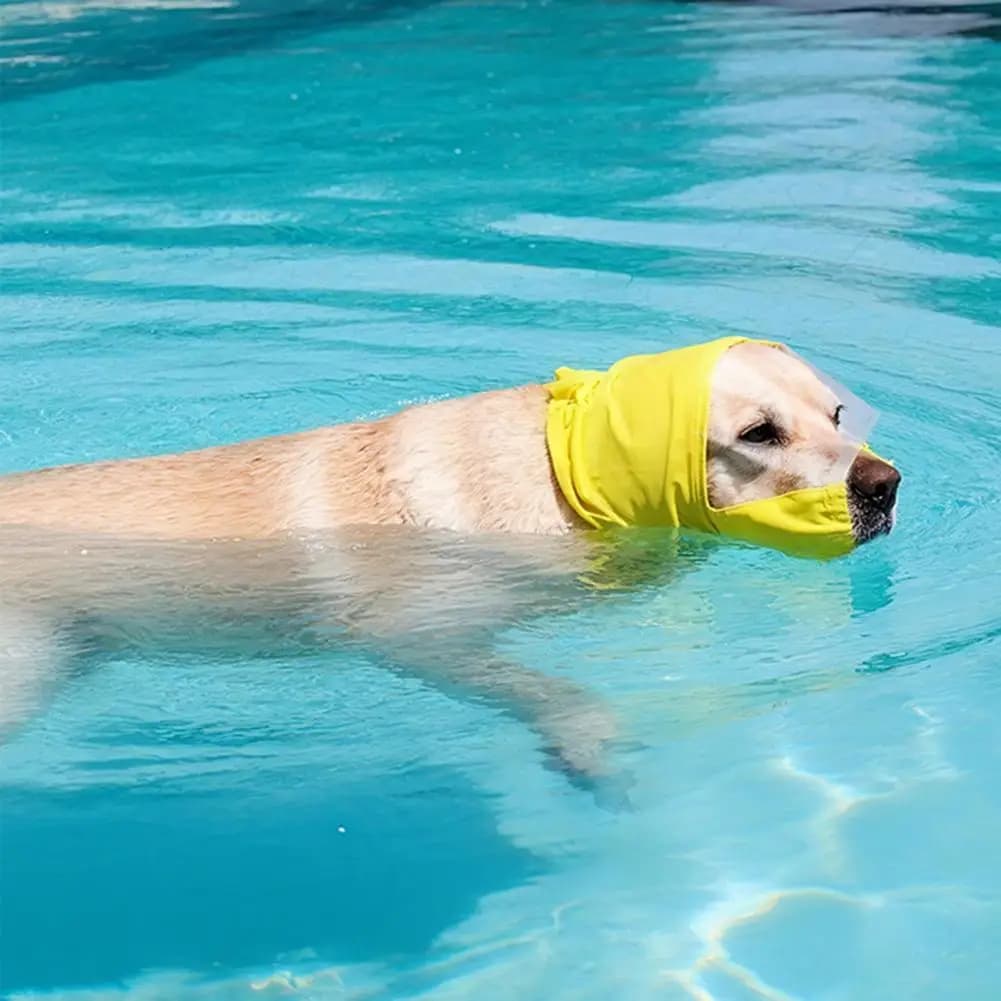 Shower Hat for Dogs with Transparent visor, Waterproof Protection for Eyelets, Adjustable Bath Hat for Small and Medium Size Pet
