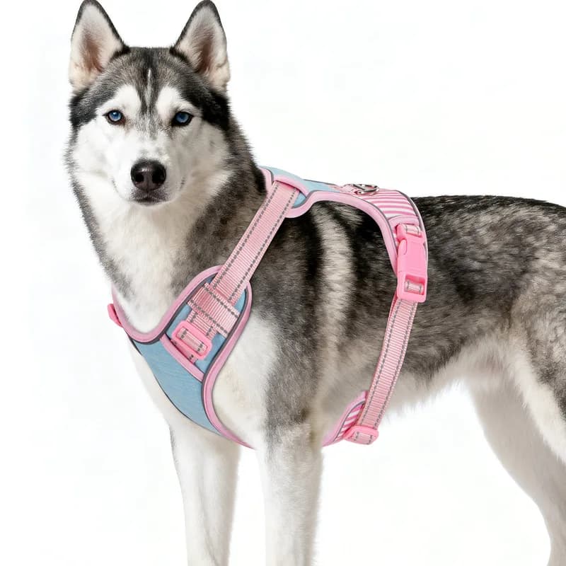 Macaron Color Striped Contrast Dog Vest Harness Escape Proof Adjustable Walking Leash Outdoor Pet Accessory