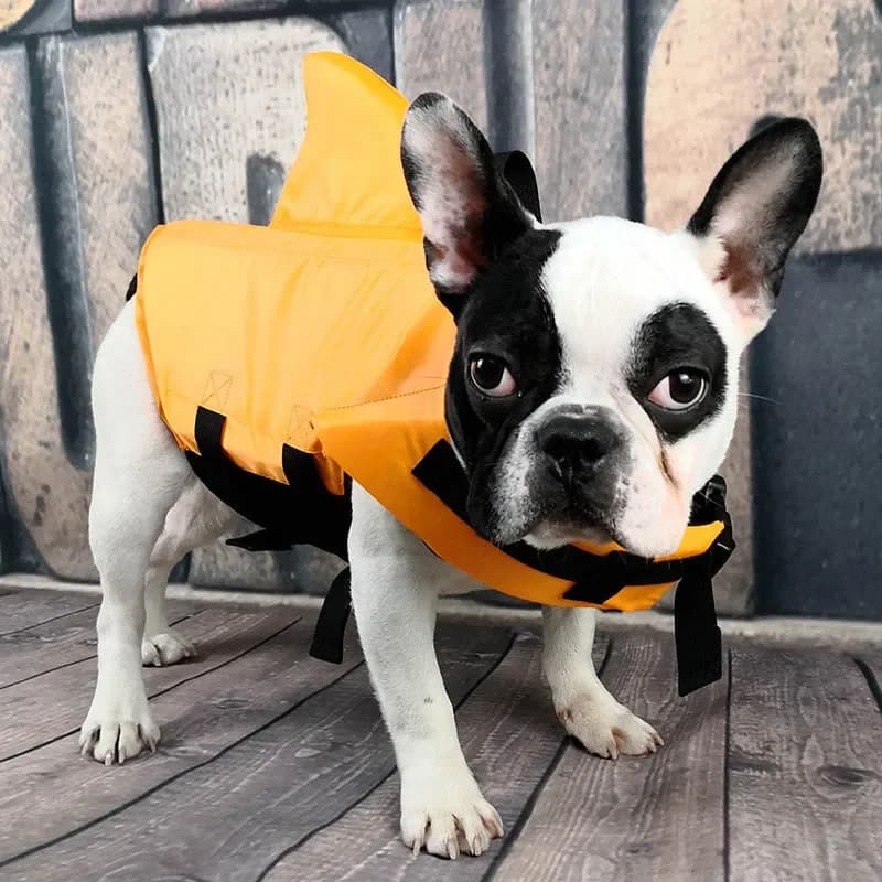 Giubbotto di salvataggio per cani regolabile con pinna di squalo con manico Gilet di sicurezza per nuoto per cuccioli Vestiti da surf per animali domestici per cani