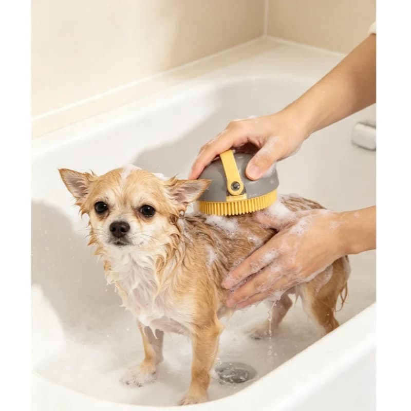 Pet Bath Massage Brush With Shampoo Dispenser Soft Silicone Bristles For Cats Dogs Grooming Cleaning Foam Rich Dual Use