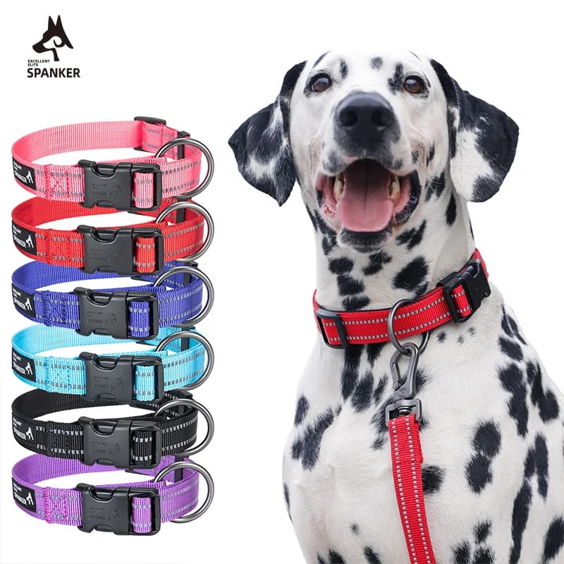 Collare per cani regolabile Collare per cani da compagnia in nylon Collare per cuccioli riflettente Durevole e resistente per cani di taglia piccola, media e grande