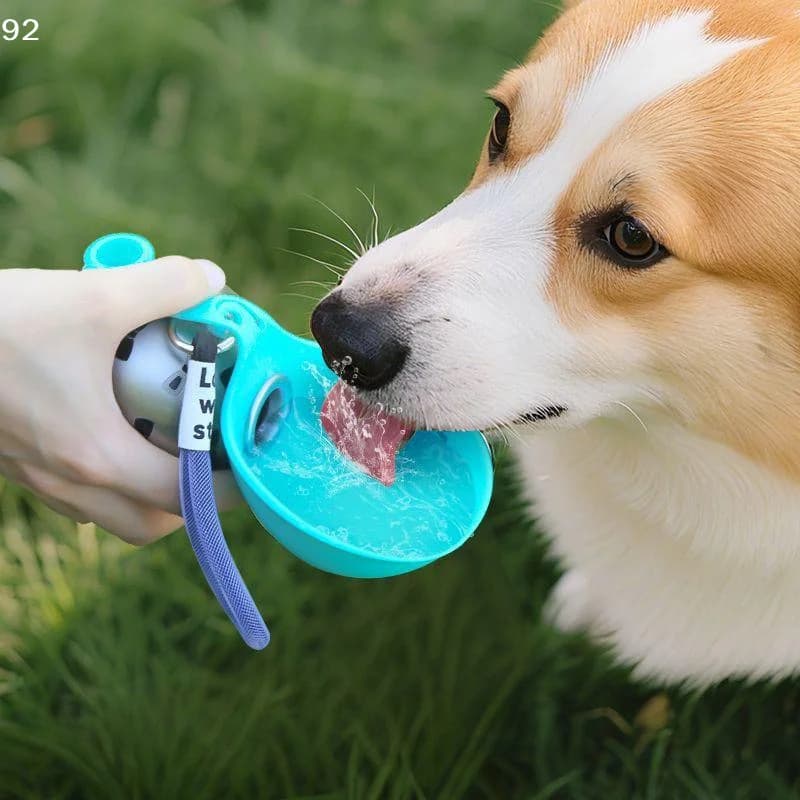 1Pcs Removable Leak Proof Travel Bowl 285ml Silicone Pet Drinking Bowl With Lanyard For Dogs On The GoCentury House