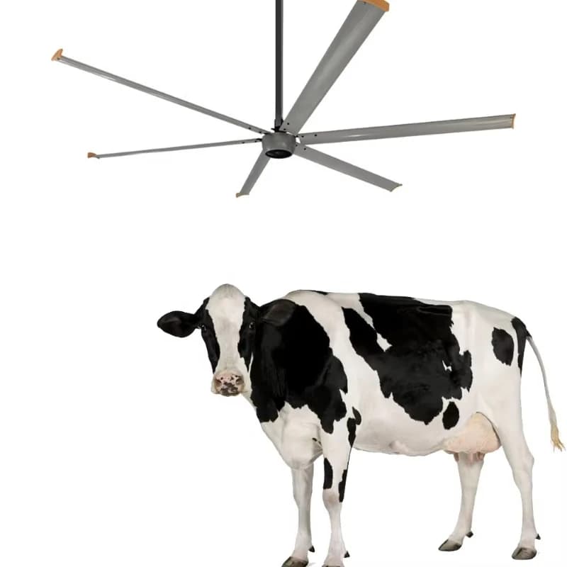 Ventilatore da soffitto industriale gigante da 12 piedi (7,3 metri) con motore elettrico senza ingranaggi da 750 watt.