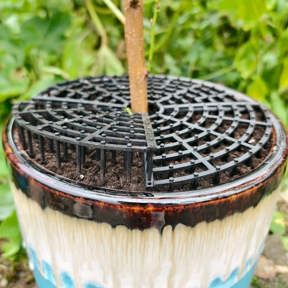 Griglia Protettiva Traspirante in Rete per Vasi di Piante, Copertura con Fori Dentellati, Griglia di Protezione del Suolo con Punte, Utilizzo Reversibile