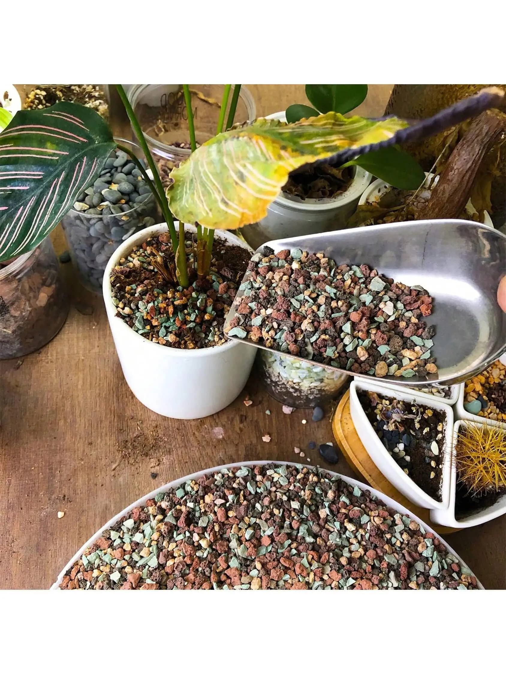 Mix Horticultural Lava Rock Pebbles Pumice Potting Soil Amendment Succulent Cactus Bonsai Gritty Rock Decorative Gravel Plant Dr