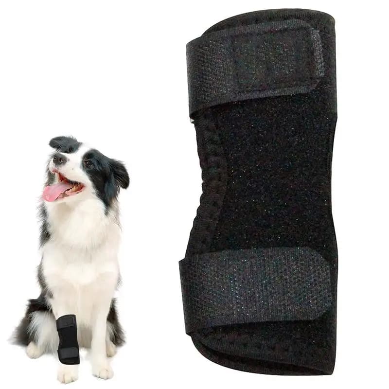 Bretelle per le gambe per cani Tutore per cani Protezioni per le gambe Stecca per cani Supporto per ginocchio Anti-Licking Tutore per caviglia Avvolgimento di compressione articolare per il recupero
