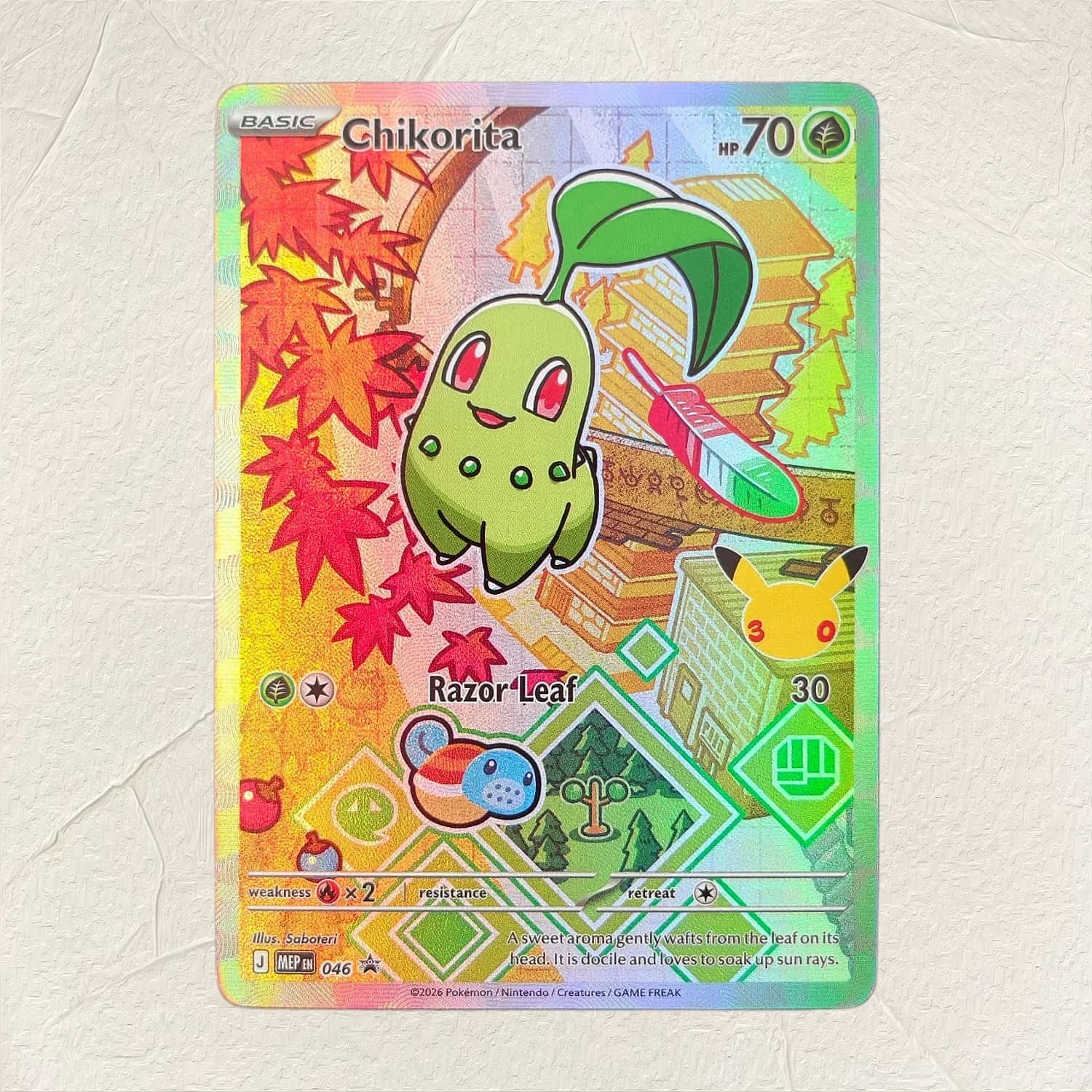 Pokemon English Chikorita 046 DIY Holographic Foil Texture Card, Perfect Condition Premium Anime Collection Card