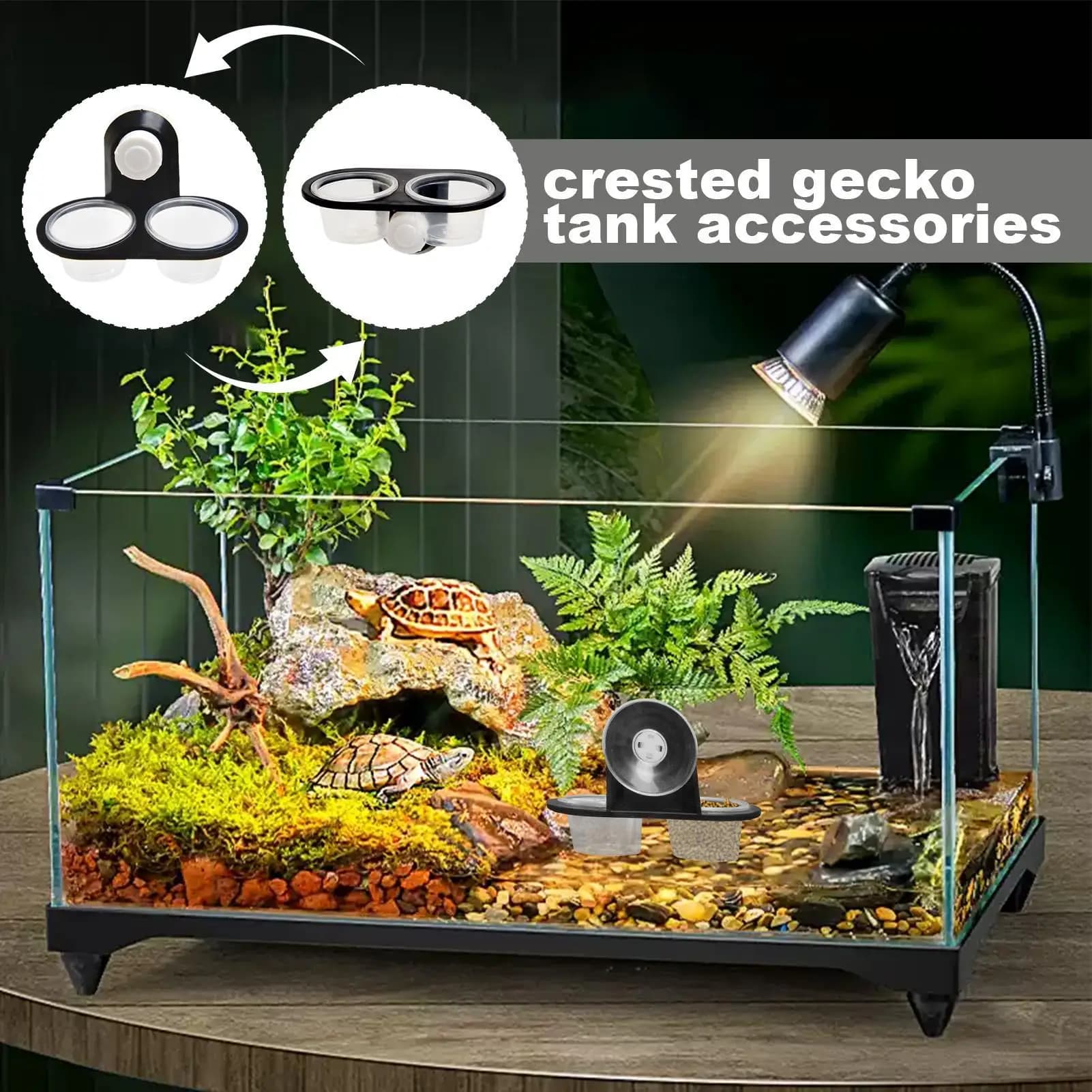 Reptile Tank Accessories Insect Spider Ants Nest Snake Gecko Food Water Feeding Bowl Terrarium Breeding Feeders Box Pets Supplie