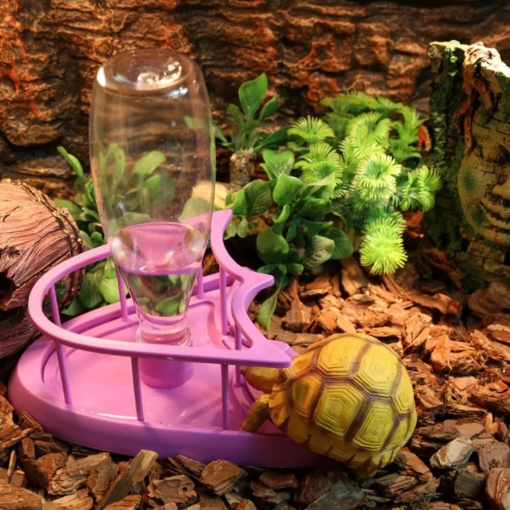Reptile Accessories Removable Household Tortoises Water Dispenser Reptile Feeder Turtle Food Container Lizard Food Bowel