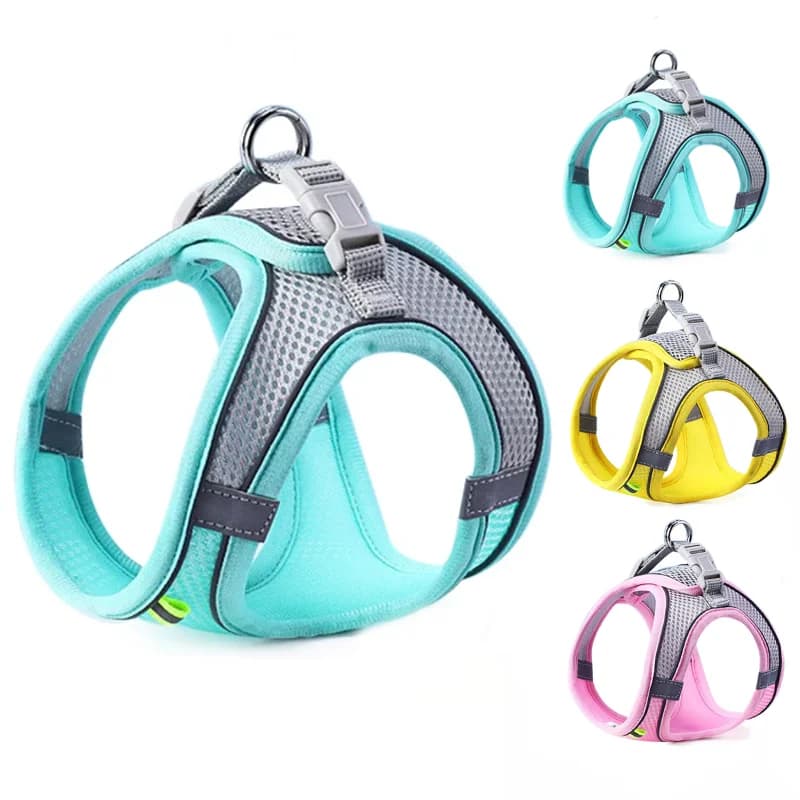 Set Pettorina and Guinzaglio for Dogs and Cats, Reflective, Breathable, Adjustable, for Cani di Piccola e Media Taglia, for Walks to the Open