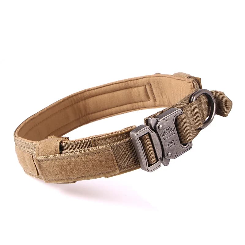 Collari per gilet imbottiti morbidi regolabili Collare vegano Guinzaglio in PVC con catena spessa intrecciata personalizzata Pettorina per cani impermeabile con manico