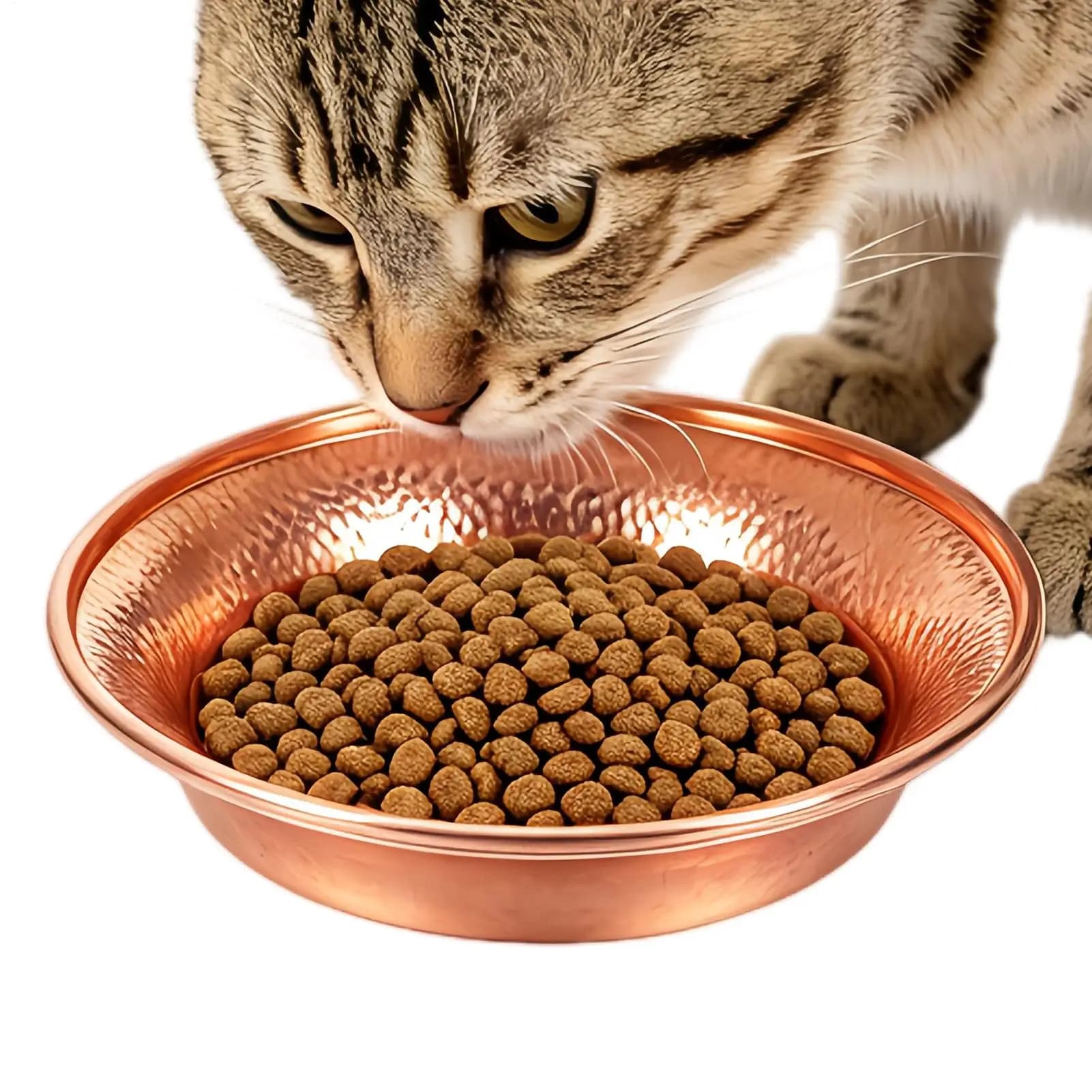 Metal Cat Bowl Non-Slip Wide Opening Textured Round Cat Food Bowls Water Dish For Puppy Kitten Home Cage Kennel Yard Pet Store
