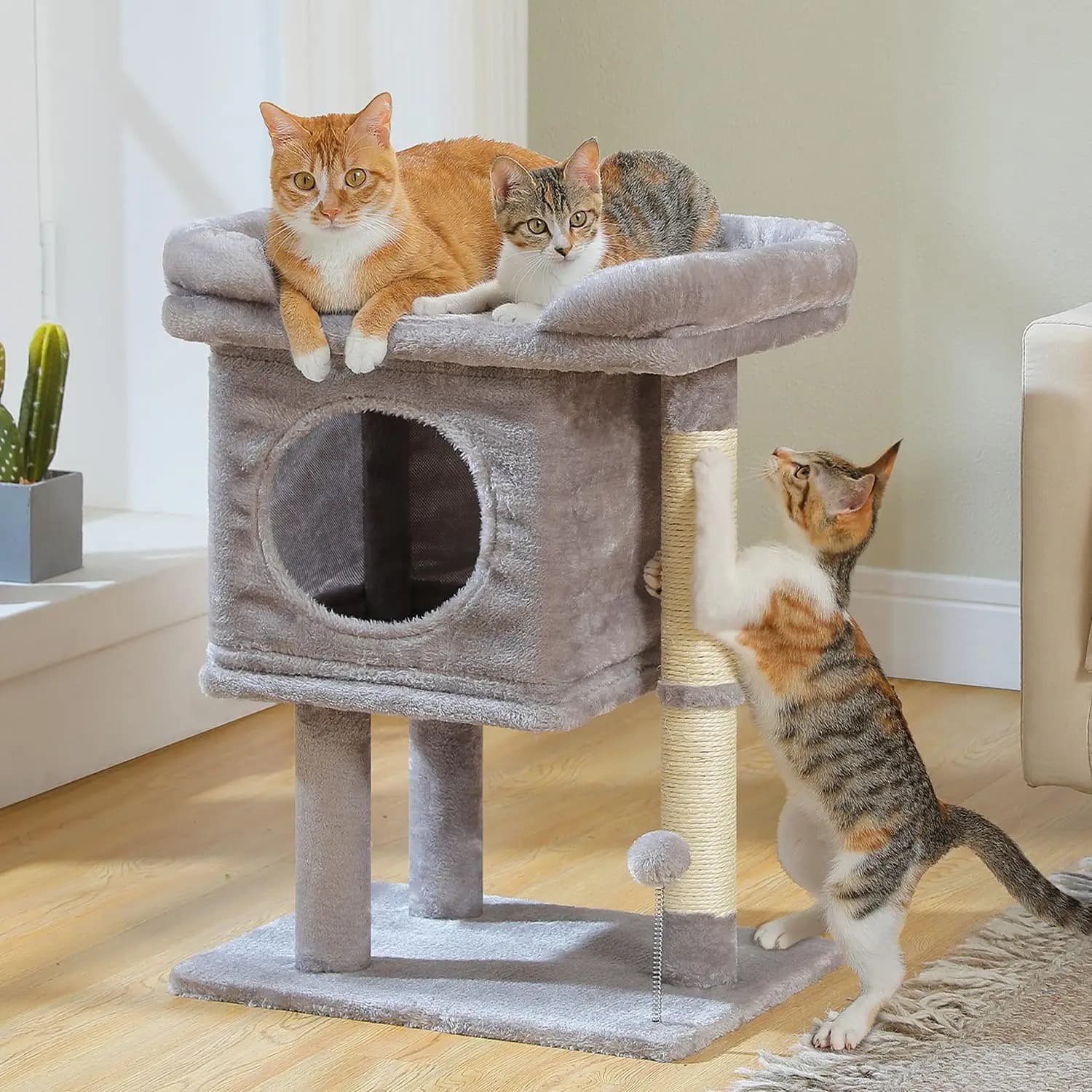Albero per Gatti da 26 Pollici con Ampia Piattaforma, Cuccia Privata, Palla a Molla e 2 Tiragraffi per Gatti da Interno - Grigio