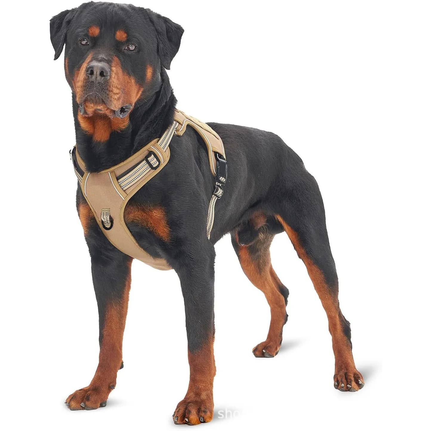 Cintura toracica tattica per animali domestici da esterno, gilet riflettente di sicurezza per cani, cinturino in rete regolabile, manico in pelle