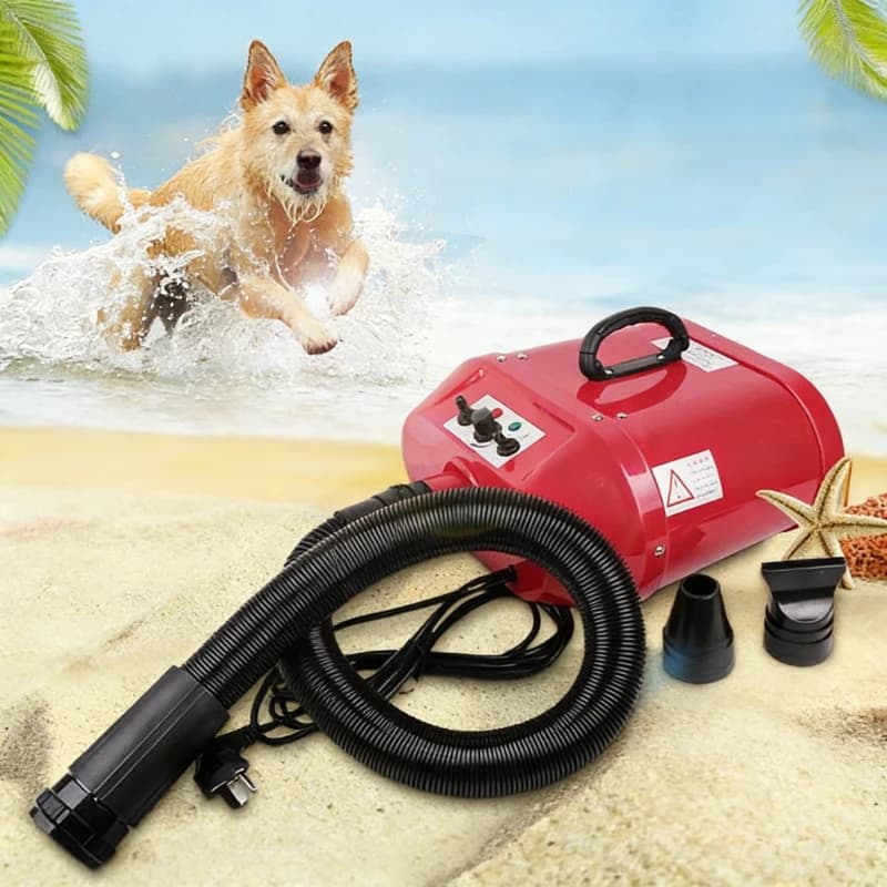 Soffiatore d'acqua a doppio motore negozio di animali cani e gatti cane di grandi dimensioni Golden Retriever asciugacapelli a riscaldamento variabile forniture per piccoli animali