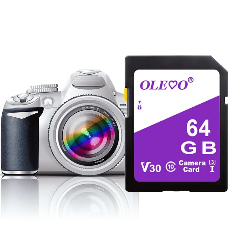 Scheda di memoria SD da 64 GB per archiviazione fotocamera Scheda di memoria 128 GB 256 GB 512 GB 16 GB 32 GB per fotocamera Nikon Sony Canon