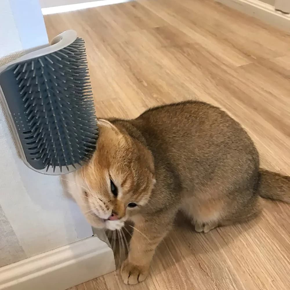 Auto Groomer per gatti con erba gatta Gatti morbidi Angolo della parete Spazzola per massaggio per gatti Pettine Sfregamento il viso con un pettine per toccare Fornitura per toelettatura di animali domestici