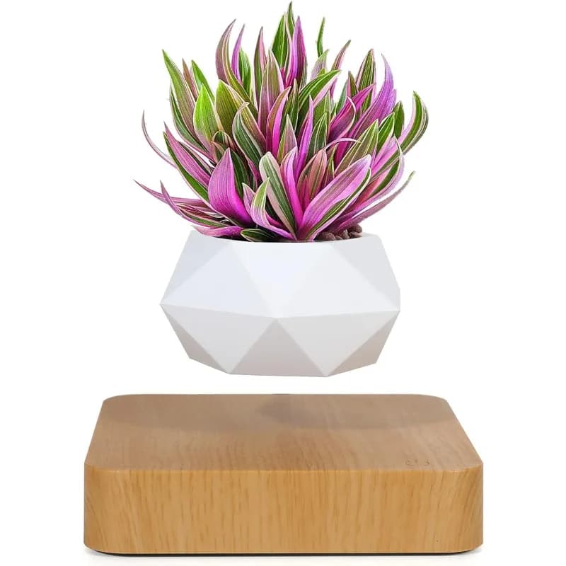 Vaso per Bonsai Levitante, Vaso Rotante per Fiori, Decorazione da Scrivania per Casa, Idea Regalo