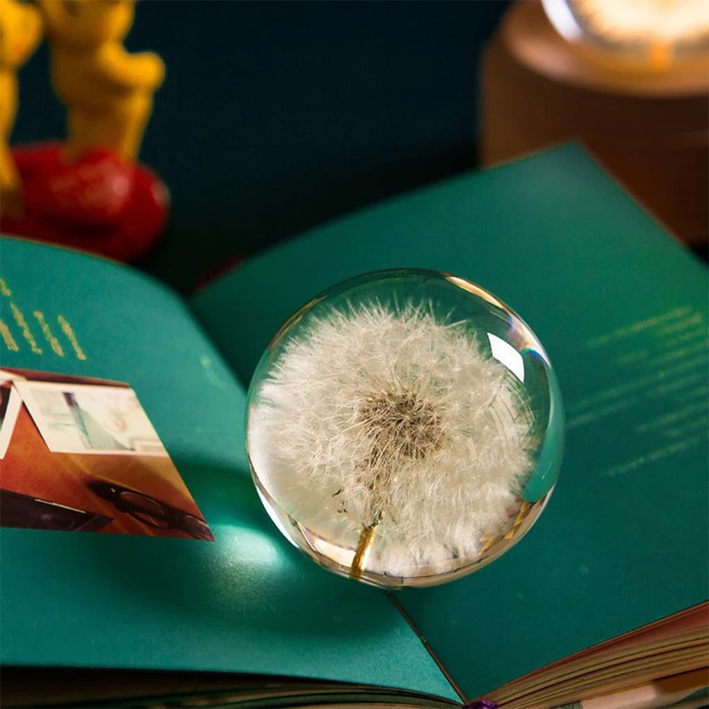 Fiore da sogno in resina Sfera di cristallo Atmosfera magica ovunque Regalo dal design unico e squisito Margherita rossa bianca 7 cm
