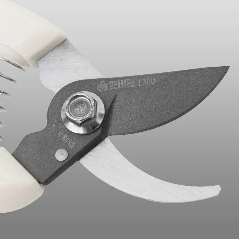 Scissors for branches, pruning shears, flower tree shears fruit, garden tool for grafting, stainless steel
