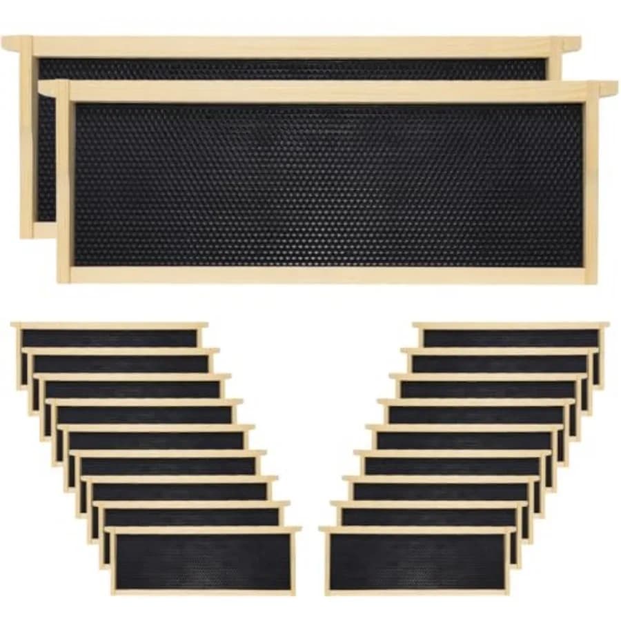 Confezione da 20 Telai Medi per Arnia Non Assemblati, Telai in Legno con Fondamenta in Plastica Rivestite in Cera d'Api per Arnia Media Super Box