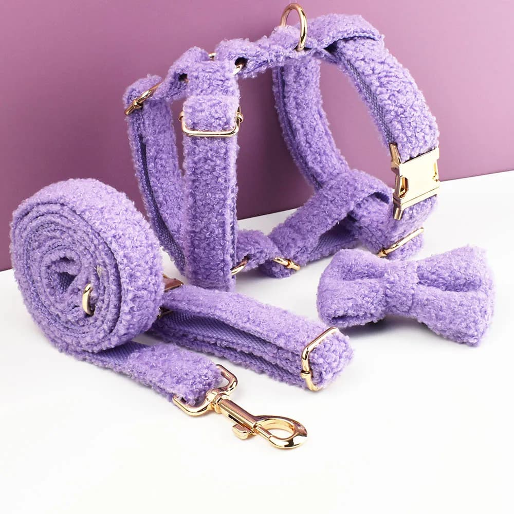 Set di collare e guinzaglio per cani in velluto Teddy, con targhetta incisa personalizzata, accessori per animali domestici, guinzaglio per cani Teddy07