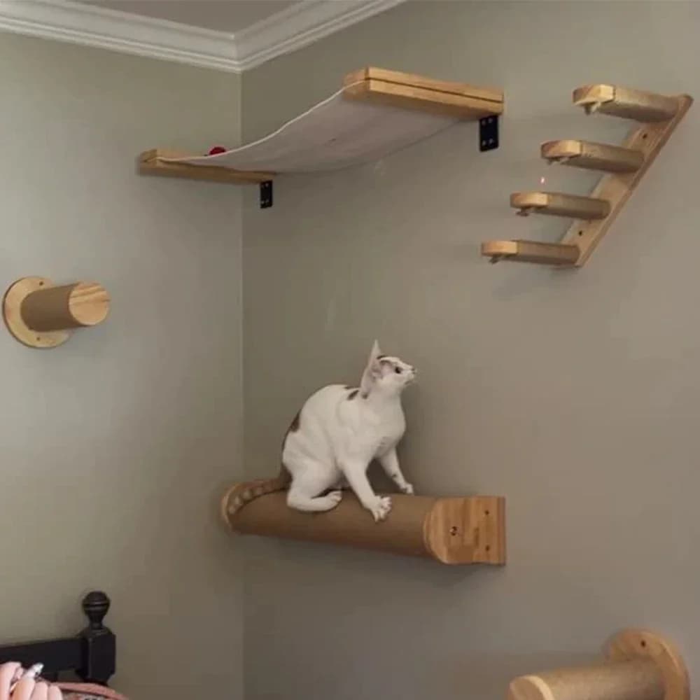 1Pc Struttura da arrampicata per gatti in legno Mobili per gatti montati a parete Scaletta da arrampicata per gatti Amaca Piattaforma per saltare per gatti Struttura da arrampicata