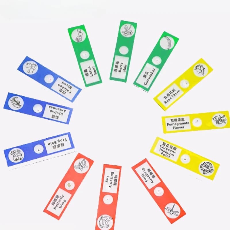 Kids Plastic Biological Sections 12/48pcs Include Animal Insect Plant Vegetable Microscopic Specimen Slice