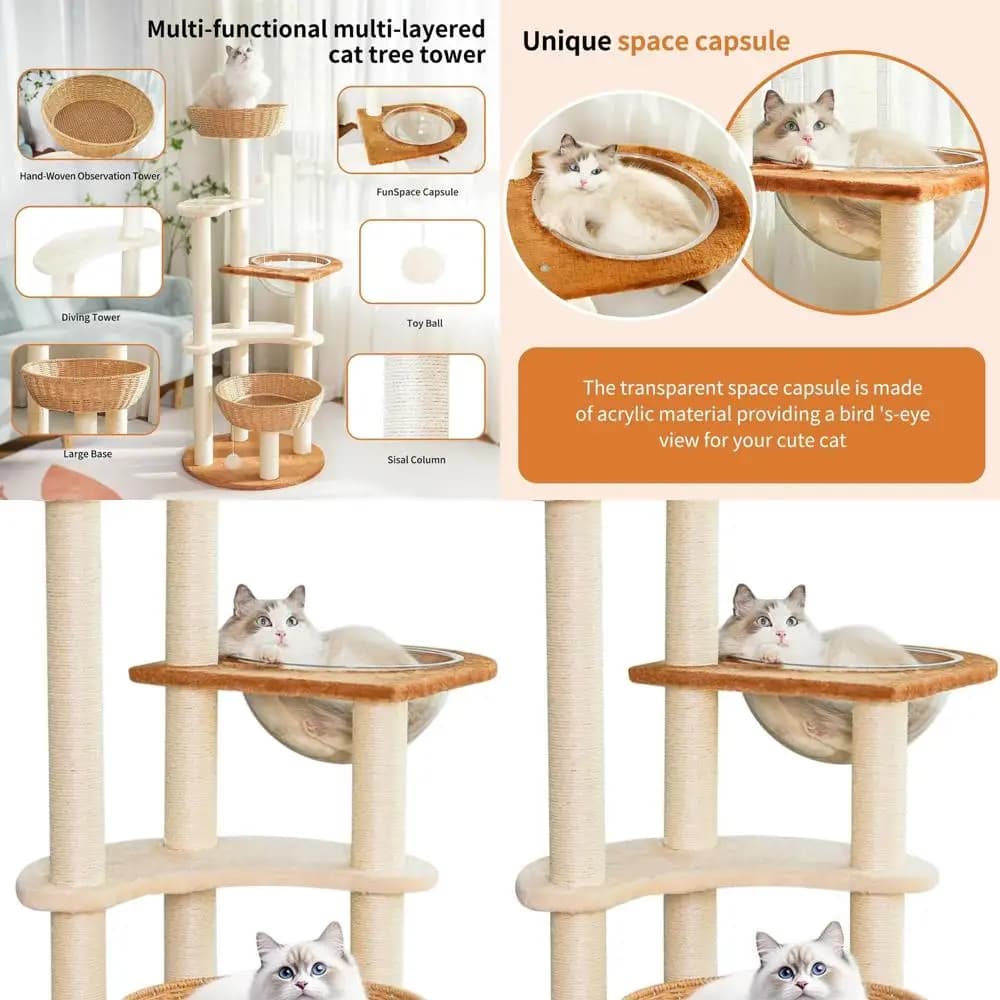 Torre per gatti ecologica con nido intrecciato, raschietti in sisal e perchi multilivello per grandi compagni felini