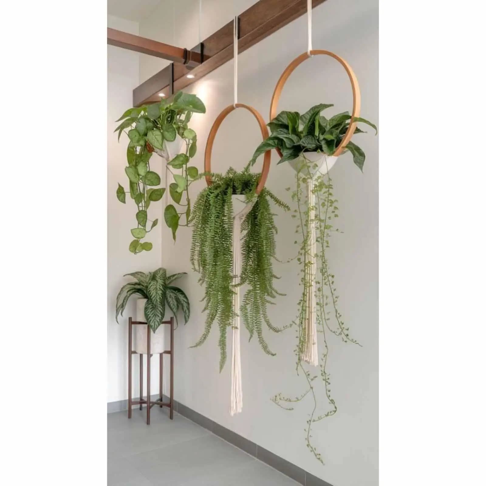 3x Wooden Floral Hoops Sturdy Lightweight Craft Hoops for Dream Catcher Making