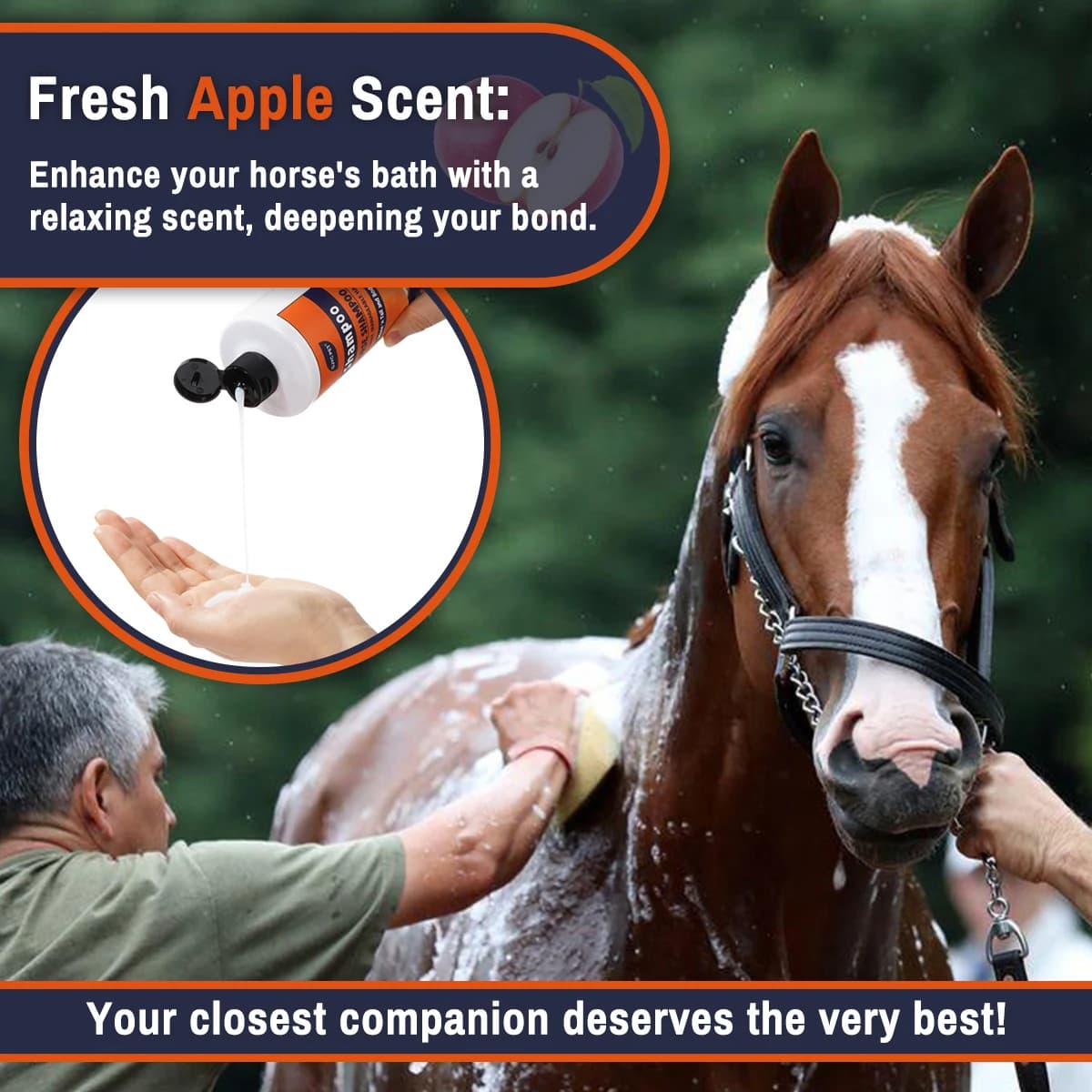 Horse Shampoo Natural Plant Extracts Deep Cleansing Nourishing Moisturizing Smooth Coat Adds Shine Equestrian Grooming