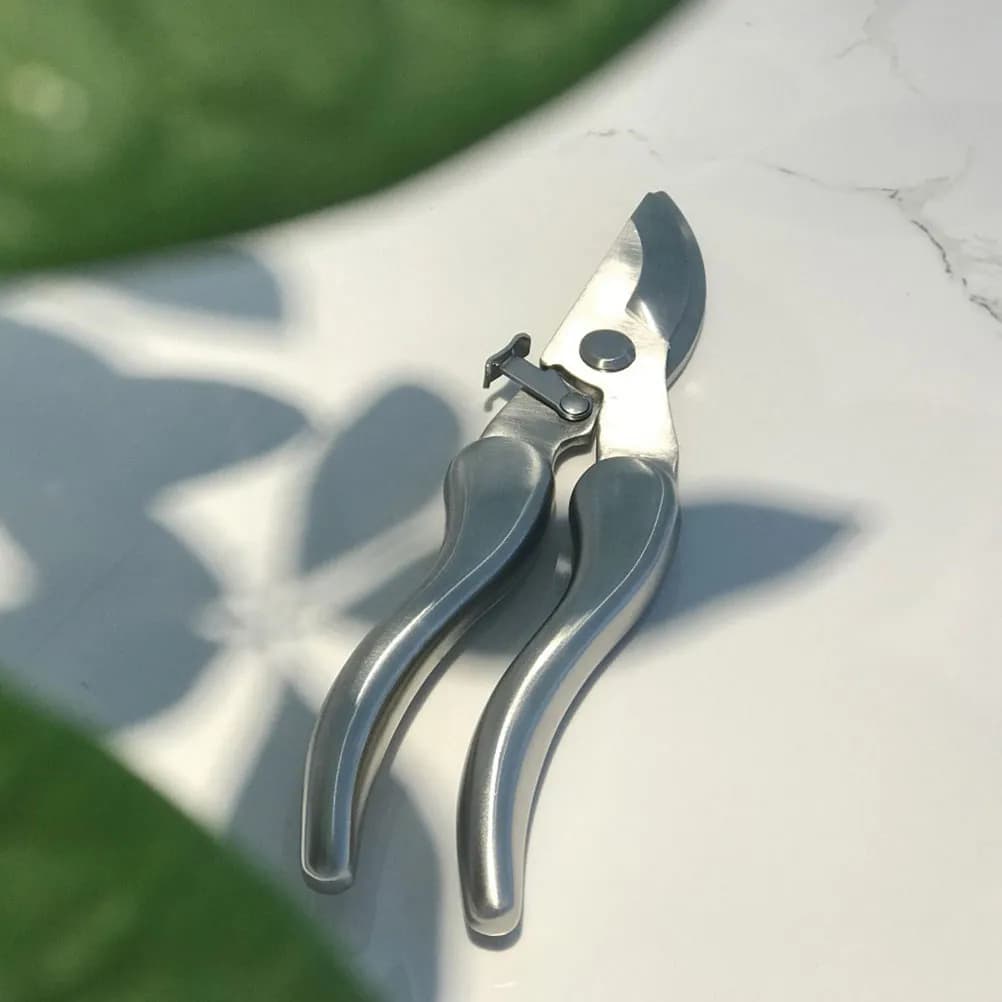 Holes for Powering Stainless Steel Fruit Trees, 1 Piece, with Anti-slip Ergonomic Grips and Arco Design for Garden, Frutteto and Potatura Rami
