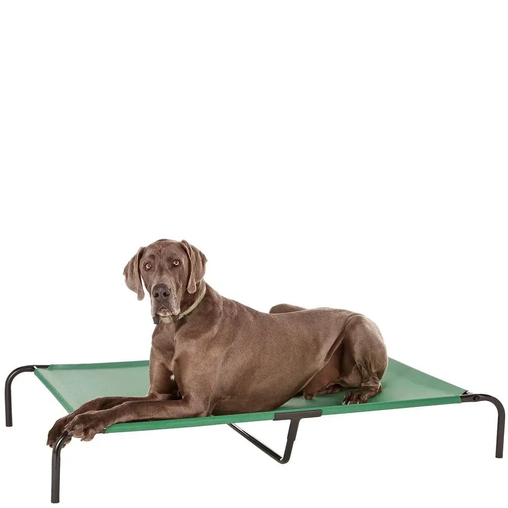 Cuccia rialzata rinfrescante e traspirante per cani di taglia grande, XLarge, 60 x 37 x 9 pollici, verde, facile da pulire, con robusta struttura in metallo.