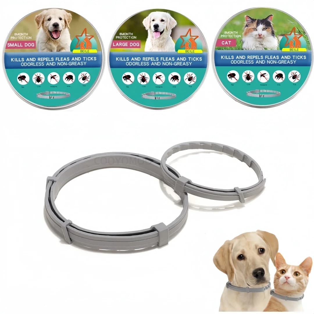 Targhetta ID Personalizzata VIP per Cani e Gatti, Incisione Personalizzabile, Numero Civico, Collare con Ciondolo in Bronzo