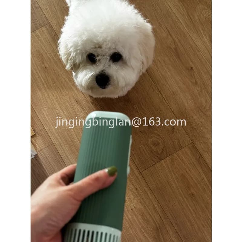 2026 new pet hair dryer, high-power noise reduction and quick-drying tool for dog bathing