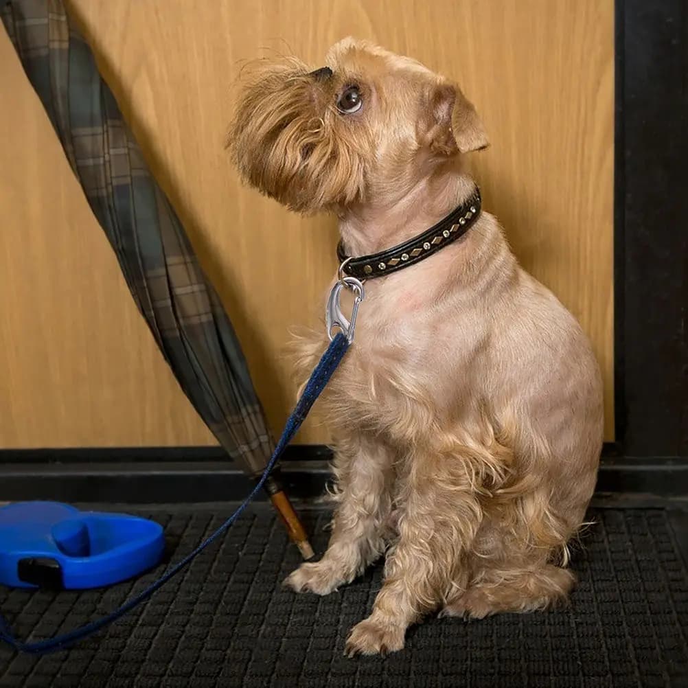 Set di 1 Moschettone in Acciaio Inossidabile con Anello Portachiavi per Creazione Gioielli Fai da Te, Braccialetti, Collari per Animali Domestici, Pettorine, Guinzagli per Cani