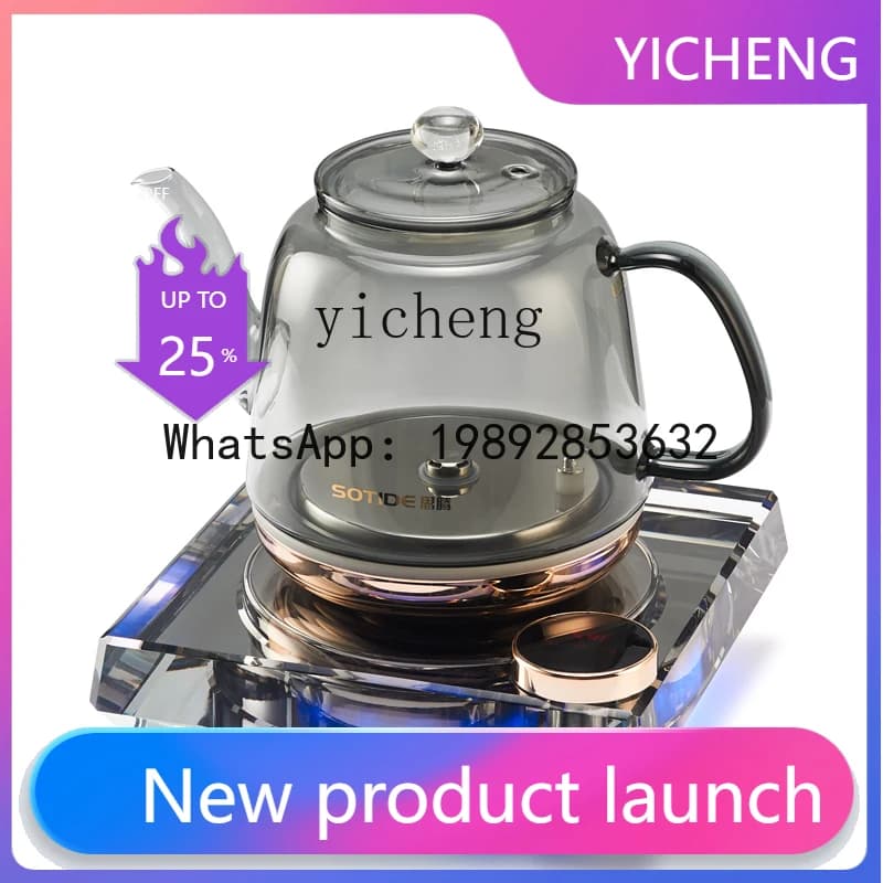 Electric kettle H1 made of crystal glass with temperature control, special teapot.