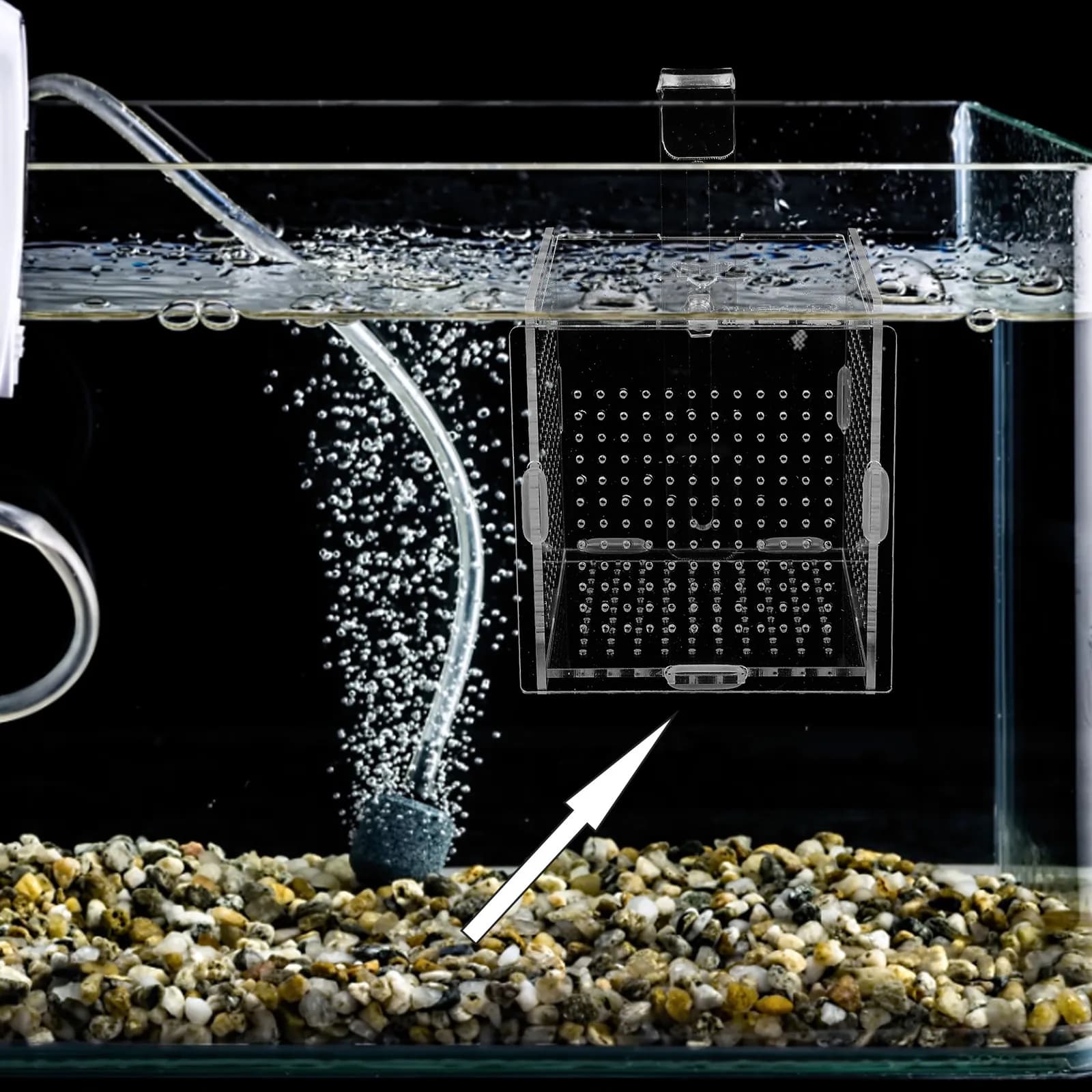Set di 1 Scatola Isolante per Acquario in Acrilico, Contenitore per Allevamento Pesci con Ventose e Ganci, Incubatrice per Vasca Pesci, Supporto Isolante per Pesciolini