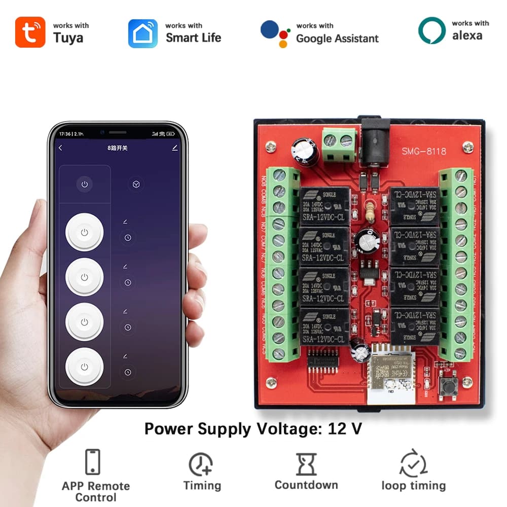 Modulo Relè Smart WiFi Tuya 8 Canali con Controllo Remoto tramite App, Interruttore DC 12V 24V, Ricevitore per Controllo Porte, Luci e Motori, Compatibile con Alexa
