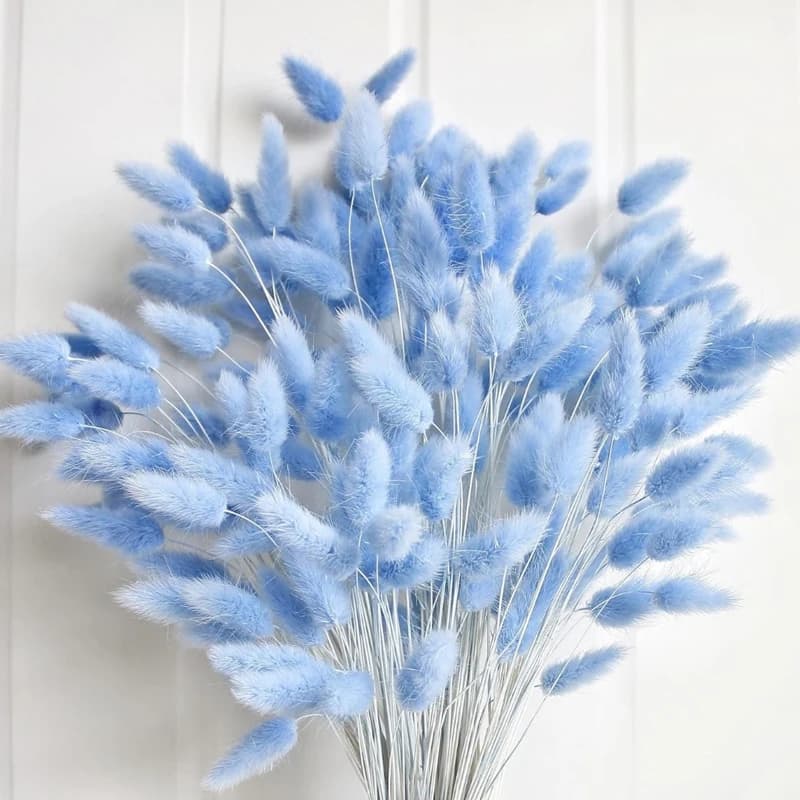 100PCS Blue Hare's-tail Grass Bunny Rabbit Tail Home Room Living Decor Dried Flowers Pampas All Seasons Tabletop Vase Decoration