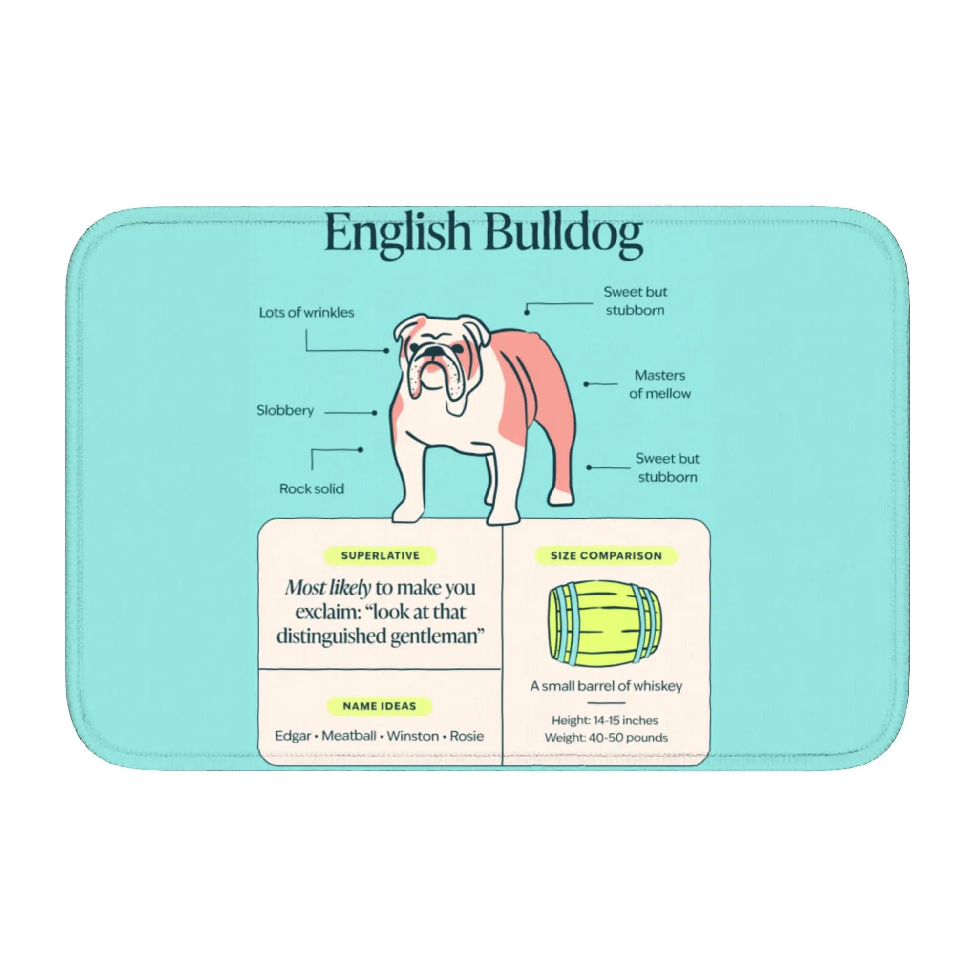 Custom Welcome Mat with English Bulldog for Entrance, Kitchen, Bathroom, Toilet, Living Room, Outdoor Mat