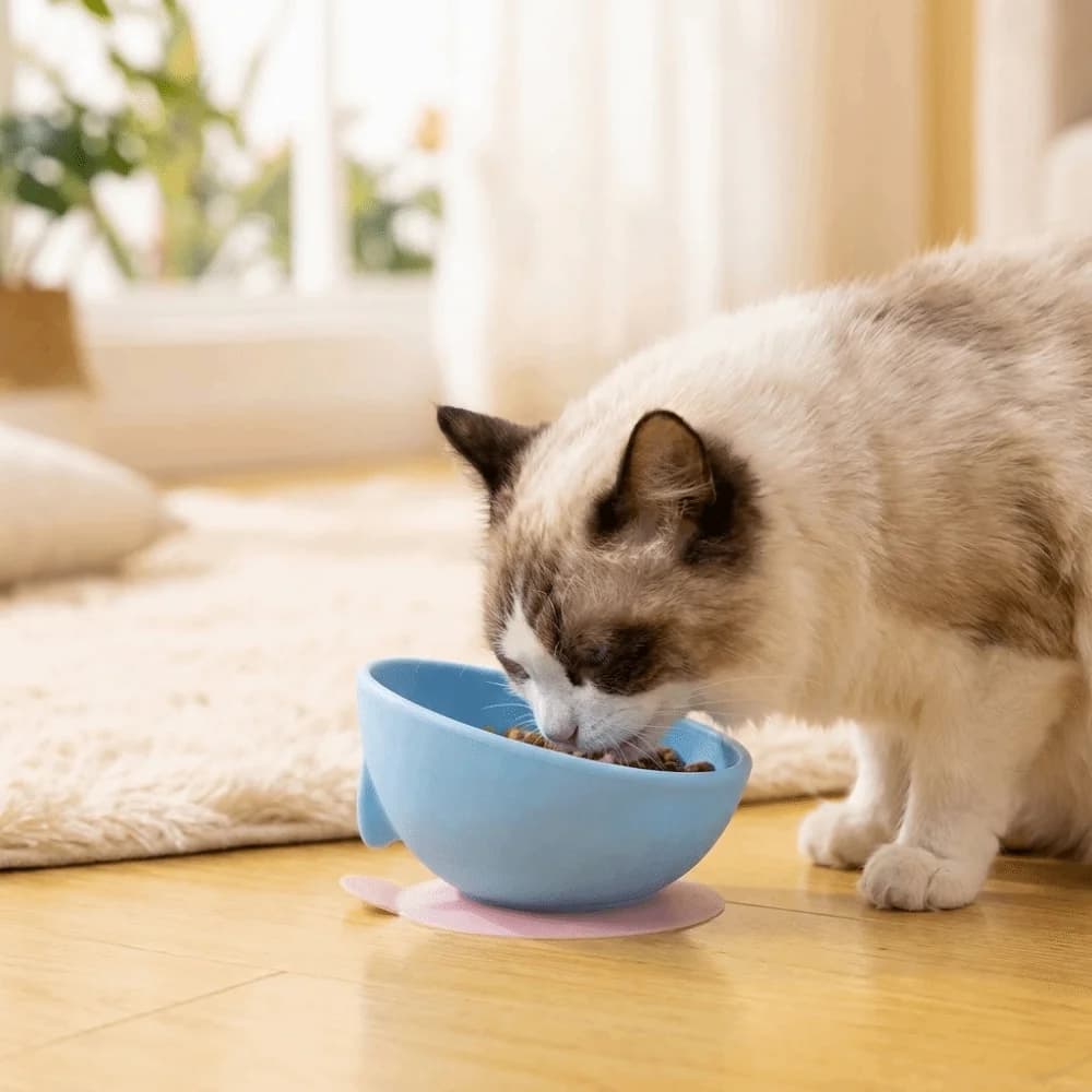 Dog Accessories Silicone Suction Cup Pet Bowl Anti-spill Soft Slow Food Bowl Stable Non-slip Pet Feeder Container Indoor Feeding